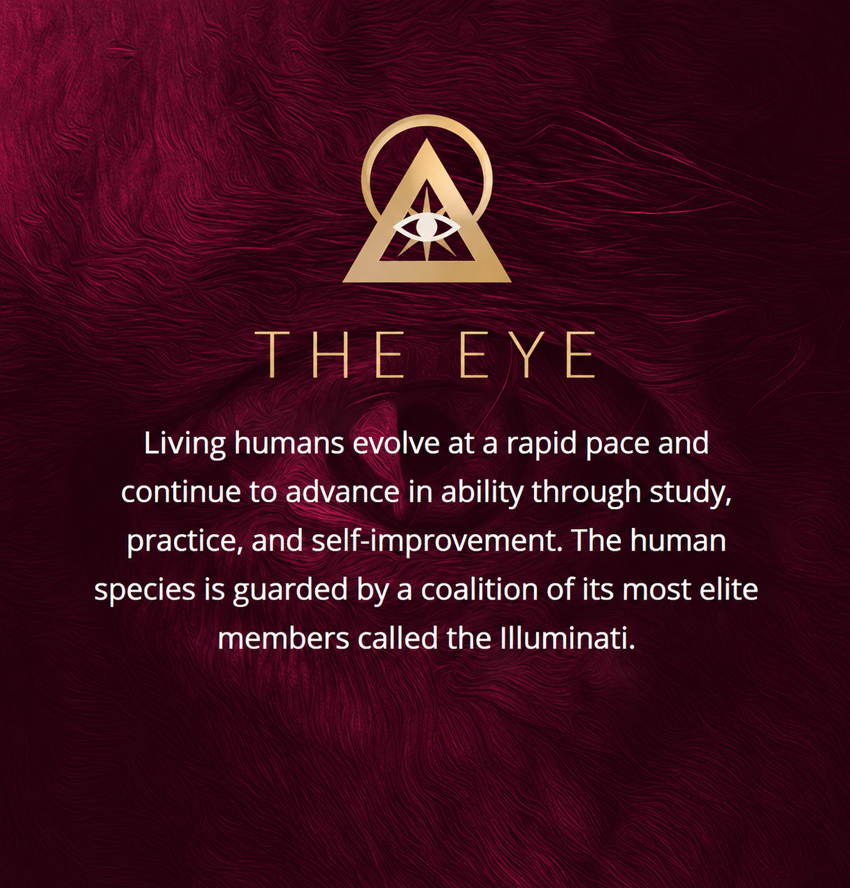 The eye
