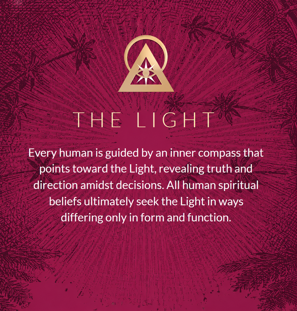 The light